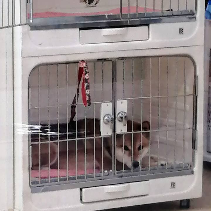 A588e2cf 6c51 4d1a 80ed 93ee3a72bf2f 1591678258089