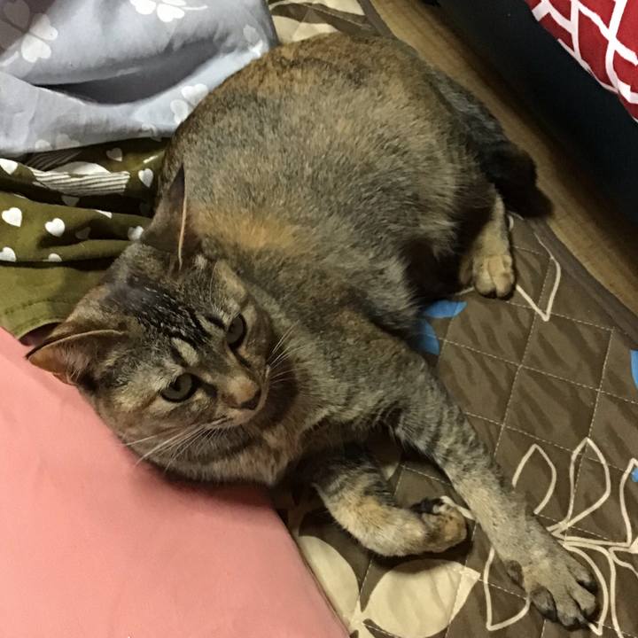 A588ebdf abec 47ca 90a9 8b3ffd381319 1585618842753