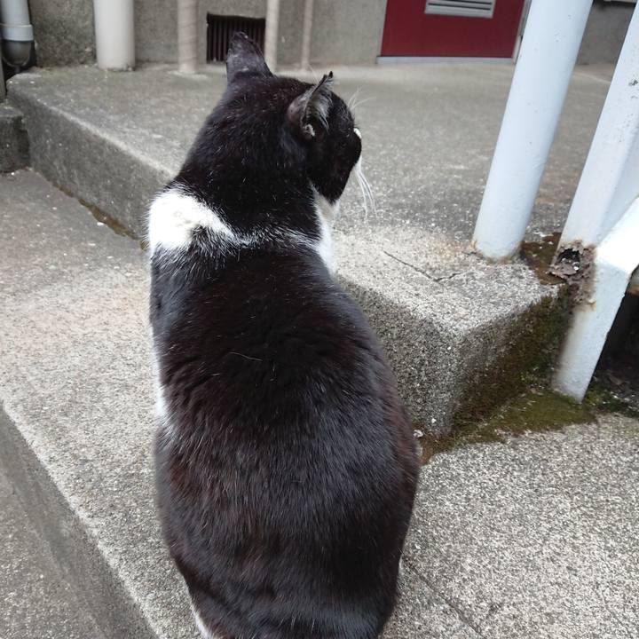 A588f1dd 8722 431c 9246 c64796871d24 1678612739766