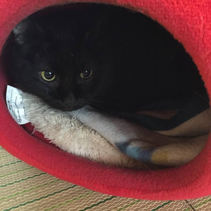 A588f5ad 1938 45aa a4ae eb7b6ef8f030 1528671219632