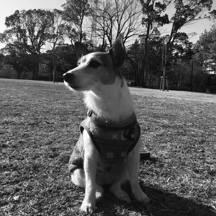 A5891cbe 3721 47f5 889b adf65f4097de 1615418662799