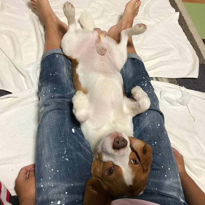 A5893e02 e722 4e52 a991 69dfc4d37100 1537183429869