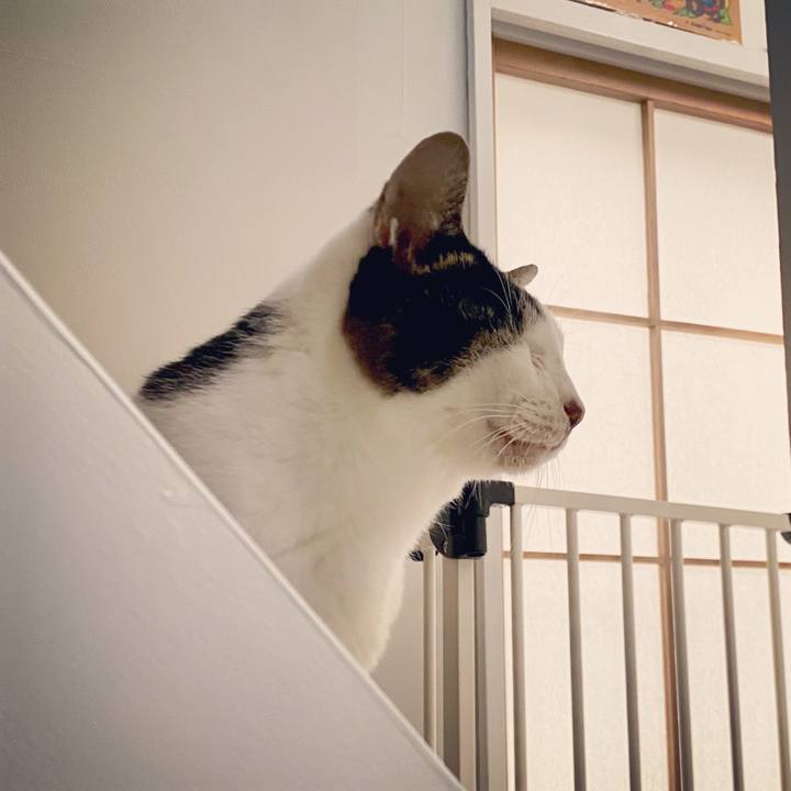 A589574b dff8 4411 98f1 17615818f468 1602744473168