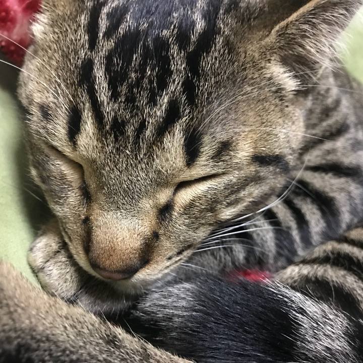 A58991c9 7126 4128 a62e e71e8f3567dd 1545461454463