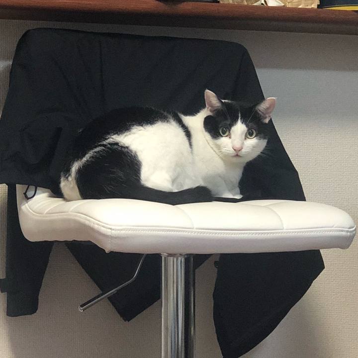 A5899bed 56f6 463b bc86 42d5f31d4488 1542088992862