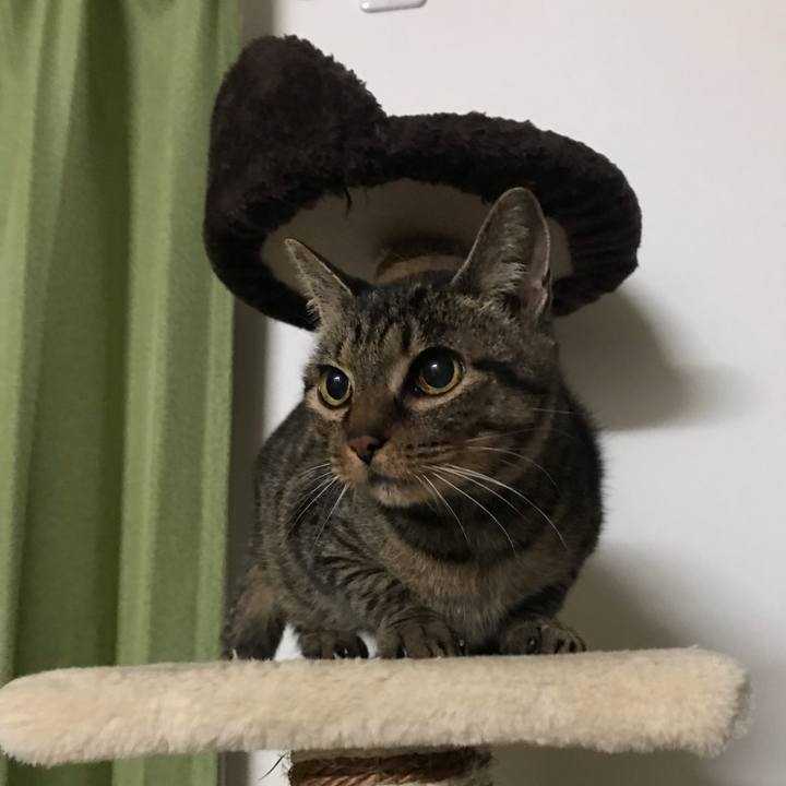 A589a6e6 63a8 4751 818a 5d6f1157be86 1542839114244