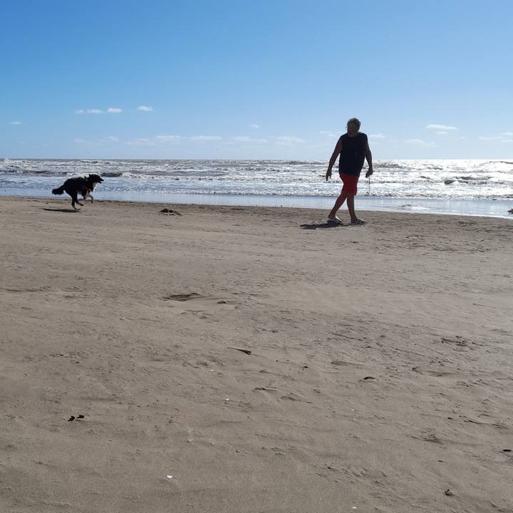 A589f66f 3c9f 49b3 b2af 9de17aa58029 1769134882046