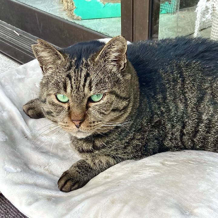 A58a0a61 52bc 434c af2c 66a27fcecae4 1673154578787