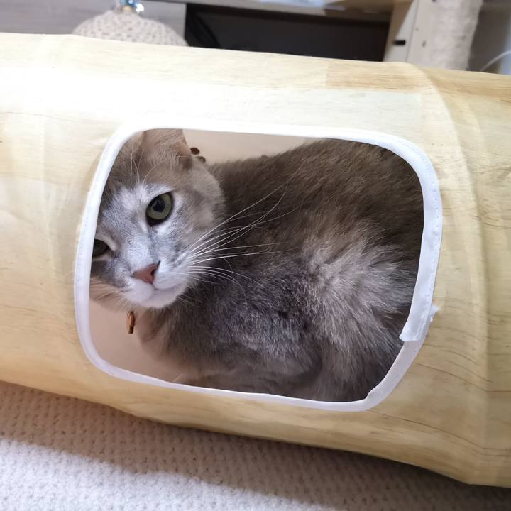 A58a2e2b 07c8 4f6a b743 aa8323c1f8ac 1578668191451