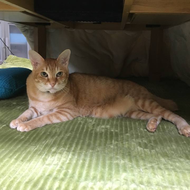 A58a4fd7 b2ad 499c a854 95a979a27a8c 1553169009534