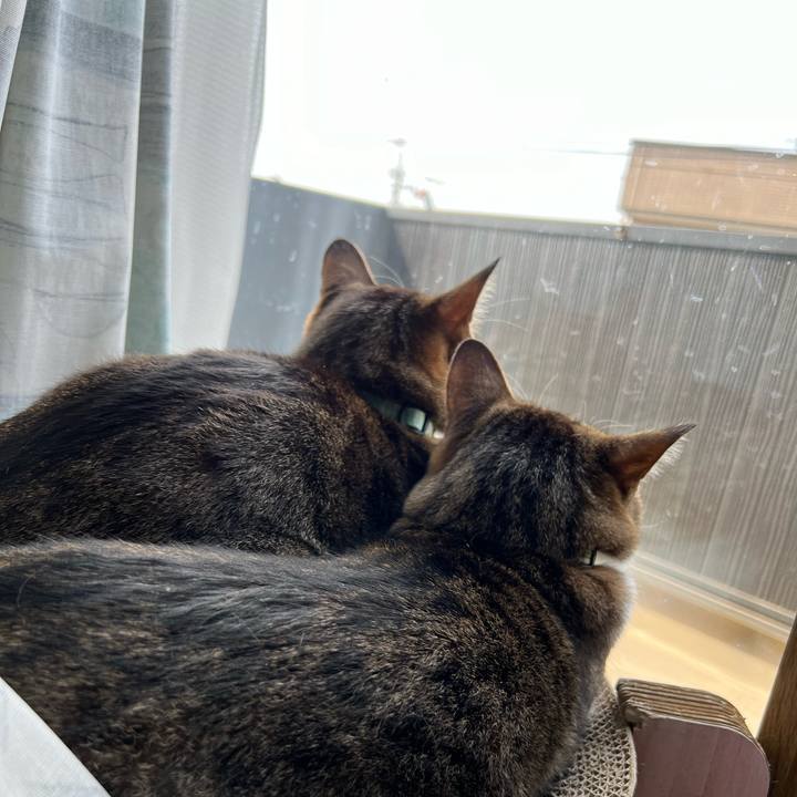 A58a6b2e 3821 48f0 a418 529e6b223cca 1716768015678