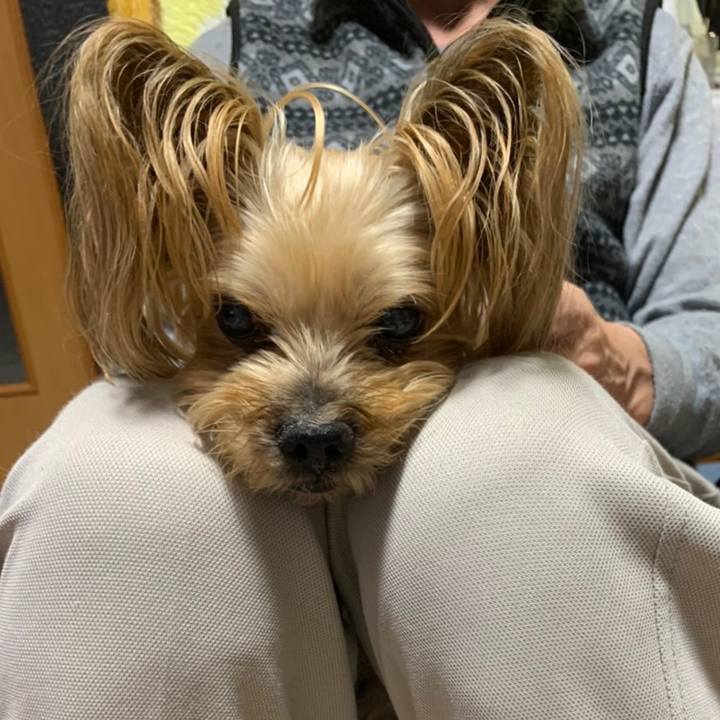 A58aad80 e2e2 44a6 9557 35e58bc6b2ff 1644486913449