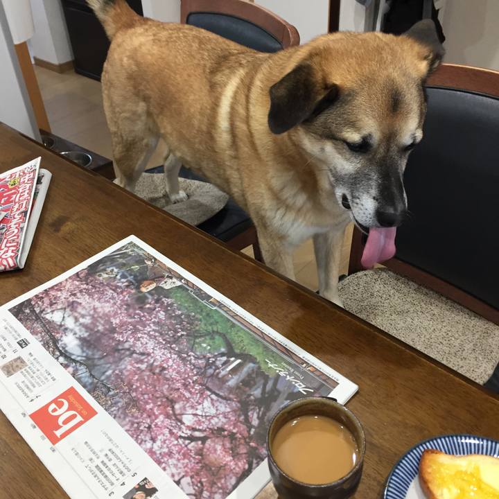 A58abba6 e532 4385 9642 902bb7e059f4 1520640601757