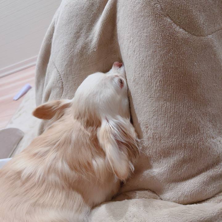 A58ae5a1 96fc 4bd1 afd7 8123c977245b 1772793577561