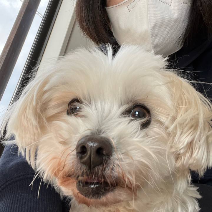 A58b0480 c1fe 4cc1 a995 e23bd53ef163 1702704923676