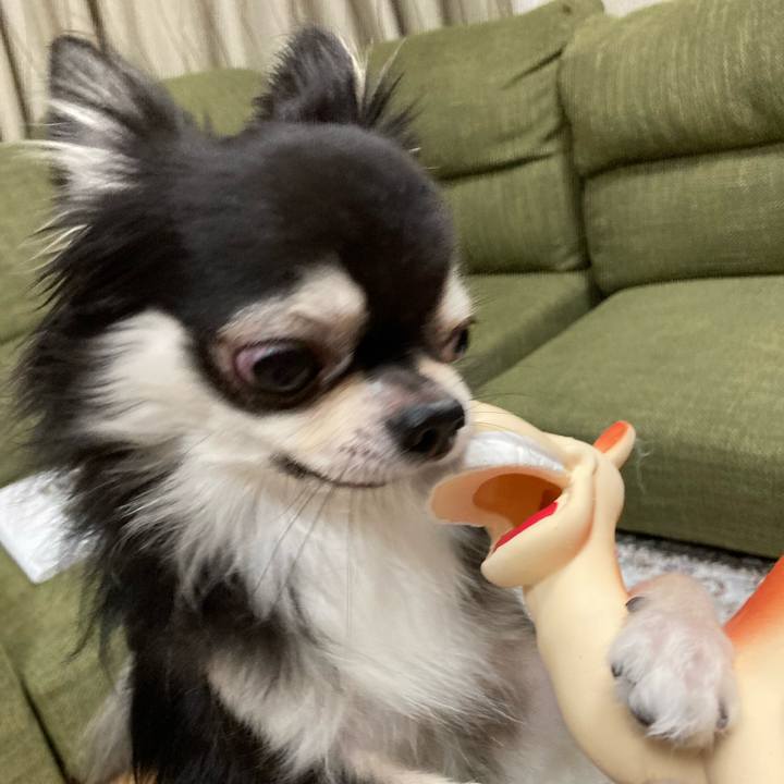 A58b13d5 05e4 4ccf 9553 f79bc9baf45f 1664112769377