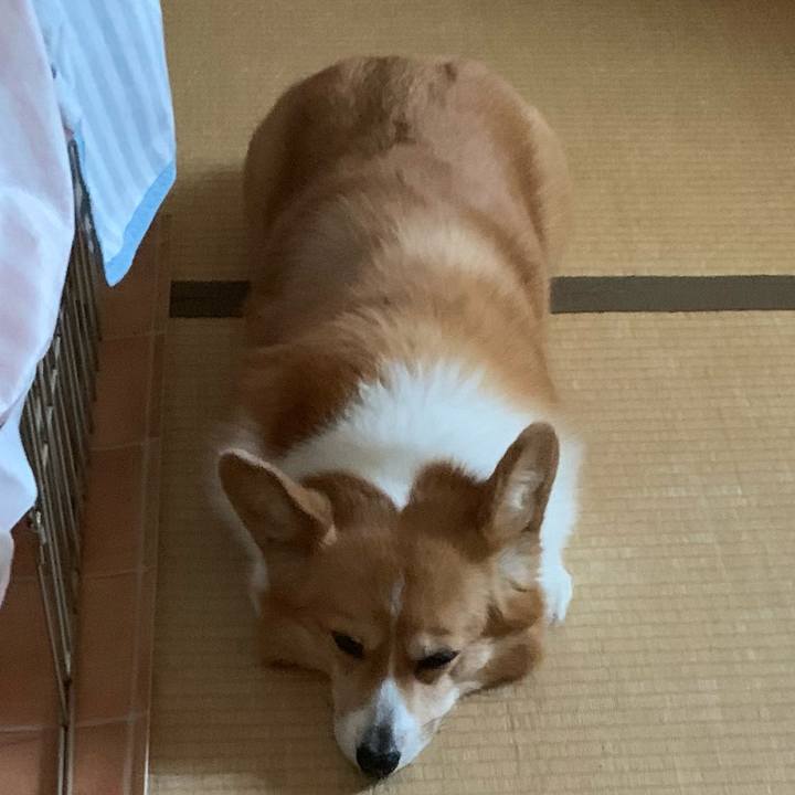 A58b1aad 5182 4cb8 82c1 33a0358db454 1622155976296