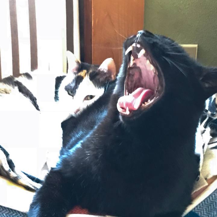 A58b2611 7a1a 4ece a816 767425c98df6 1524998182434