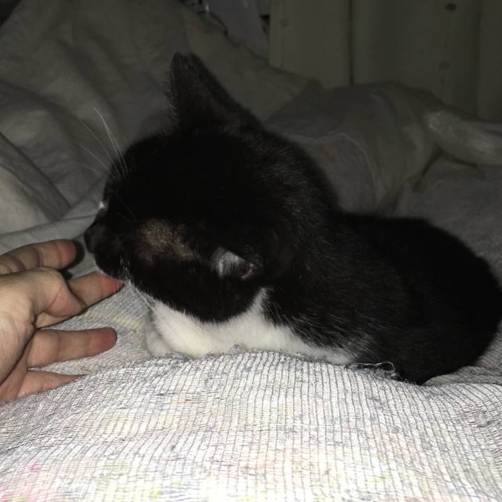 A58b383e 5ed6 4d3a bedb cbcbe953215c 1539523979367