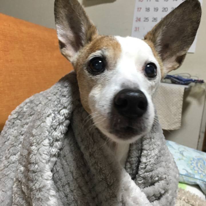 A58b3f46 b6d2 41d9 9c66 346a7b8c67c9 1514777050766