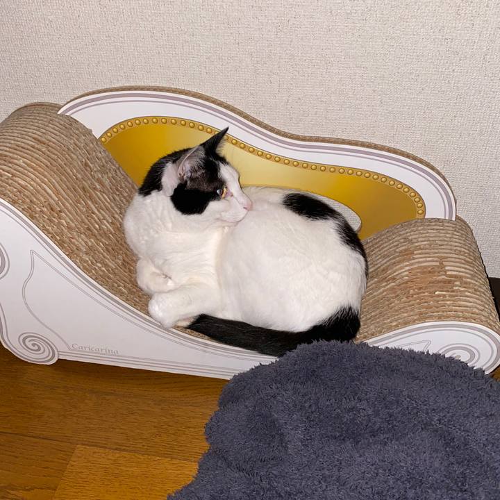 A58b516b e5c5 47c4 bc9c 0b2409ba8d28 1650579524181