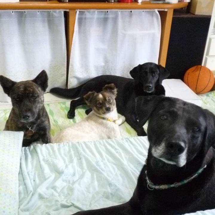 A58b9ce4 30e5 4b89 bdb6 ef0d785af2dd 1530329201869