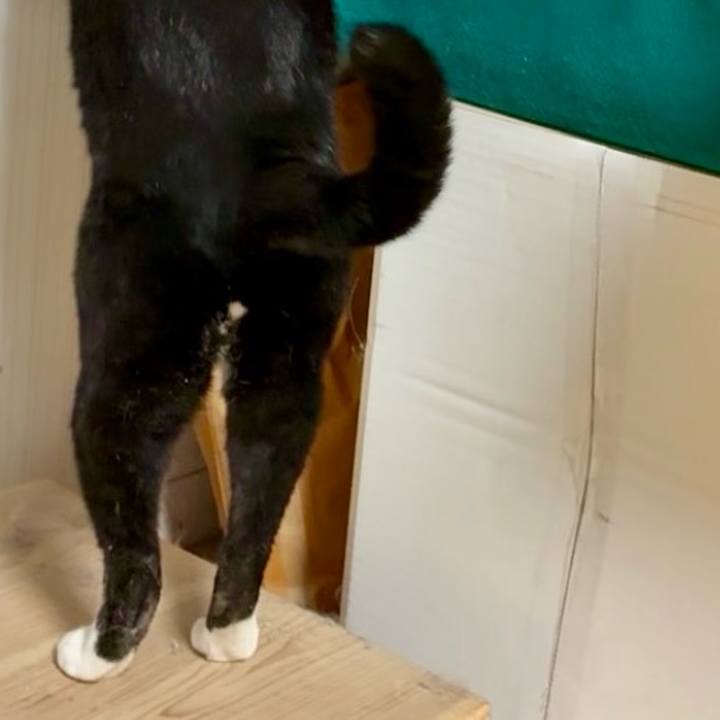 A58bb930 bbe0 4a0a 9462 75d824b9b3a1 1761215028779