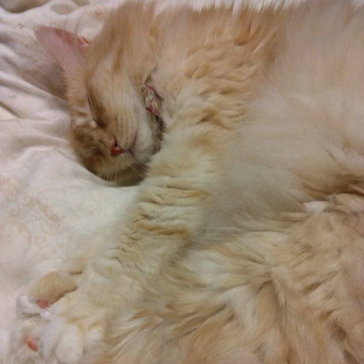 A58c2389 469c 49ff b1d4 56c5c44a872f 1692882766279