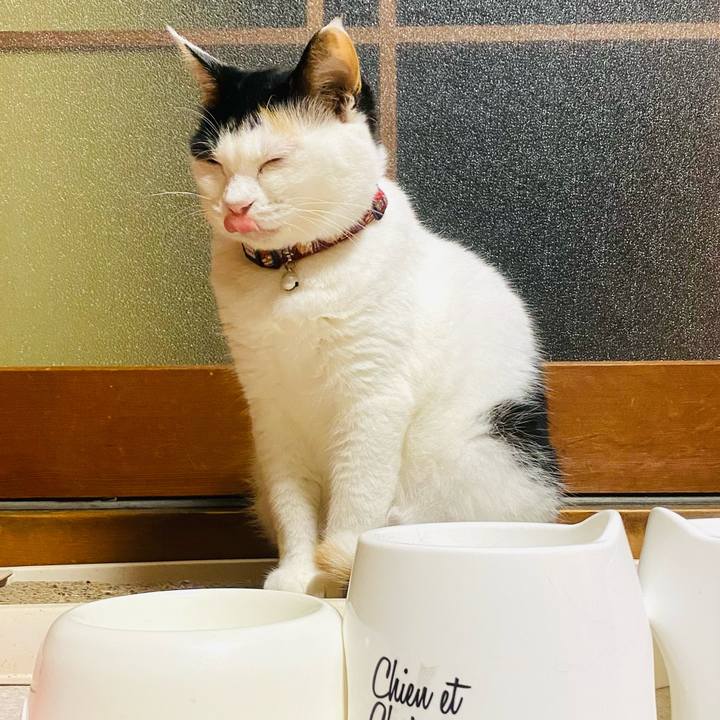 A58c5758 312a 4da0 8934 d30f6c9e4429 1660769528843