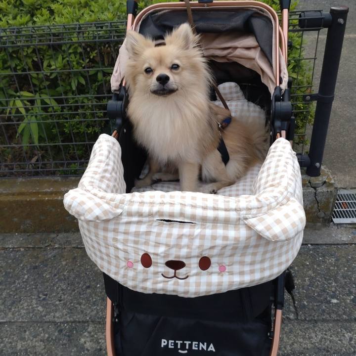 A58c84bb 1c70 4ea1 9dce b5f422d2a7f1 1759528278785