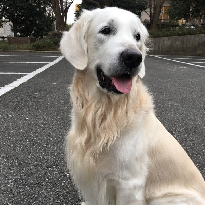 A58cd016 19fe 4235 b64e d736d0778e3b 1521880647258