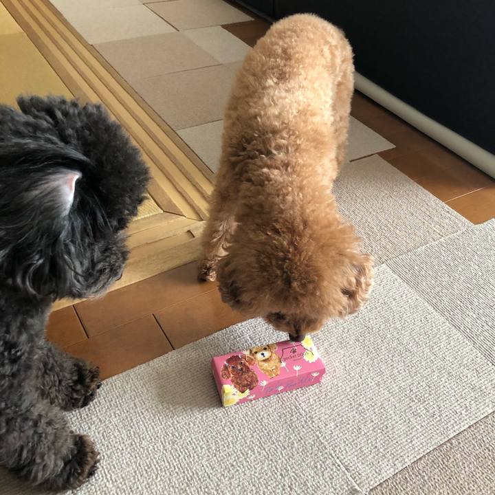 A58cd35a 2870 46c3 bdb1 a2940e63b162 1581722537509