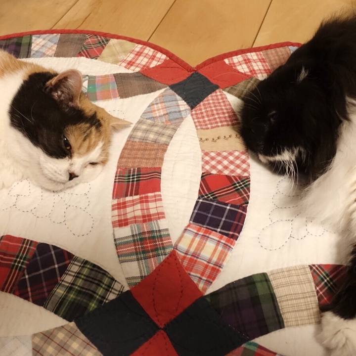 A58d0cb6 f77c 4d93 ac4f b81f75840a5b 1547481808613