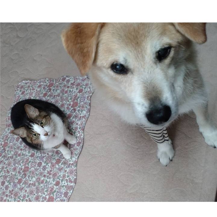 A58d225b 5454 42a2 8560 71fcab49fc07 1650975908491