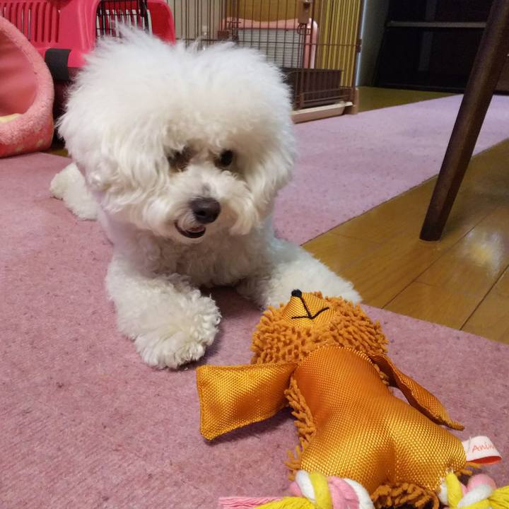 A58d3992 6def 47cc 9b55 8a728ea23c54 1521370112355