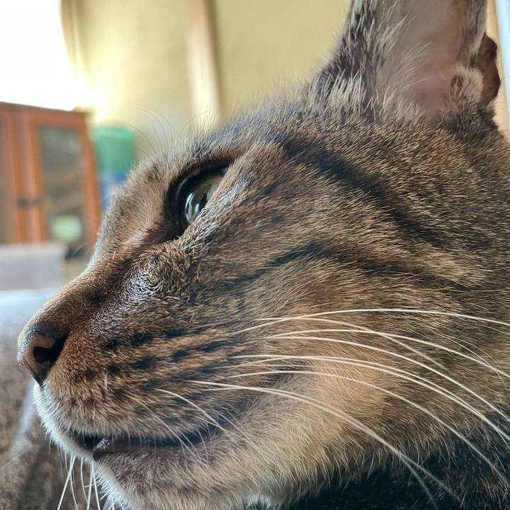 A58d6b60 7b95 428f a999 353903540b12 1617843111832