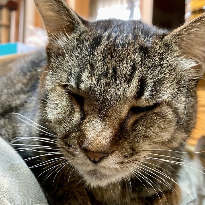 A58da953 54da 4129 bb01 17b58cad9ab2 1667460749210