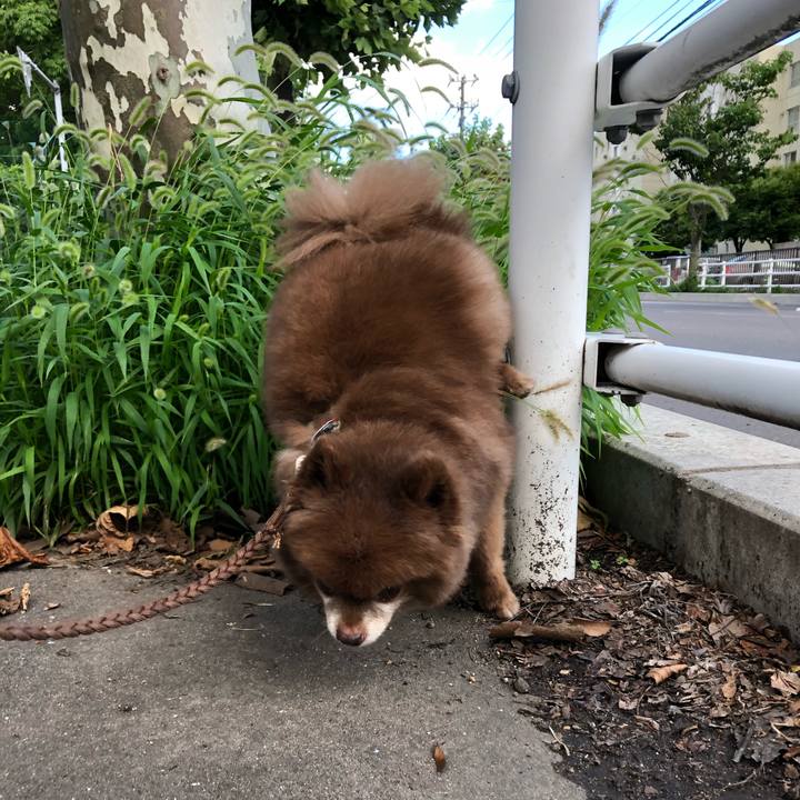 A58db039 7636 4883 8ac0 6537d0baec4d 1630127081619