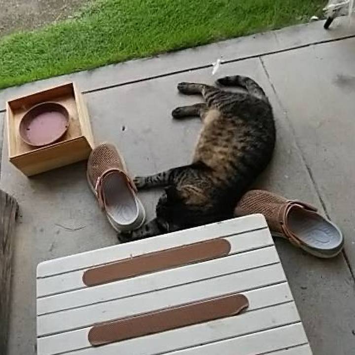 A58db0b8 33be 48ff bbda fe238d71c728 1751626164863