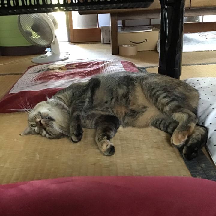 A58db7e8 81cd 419e a5f2 4ea093231a72 1659693193893