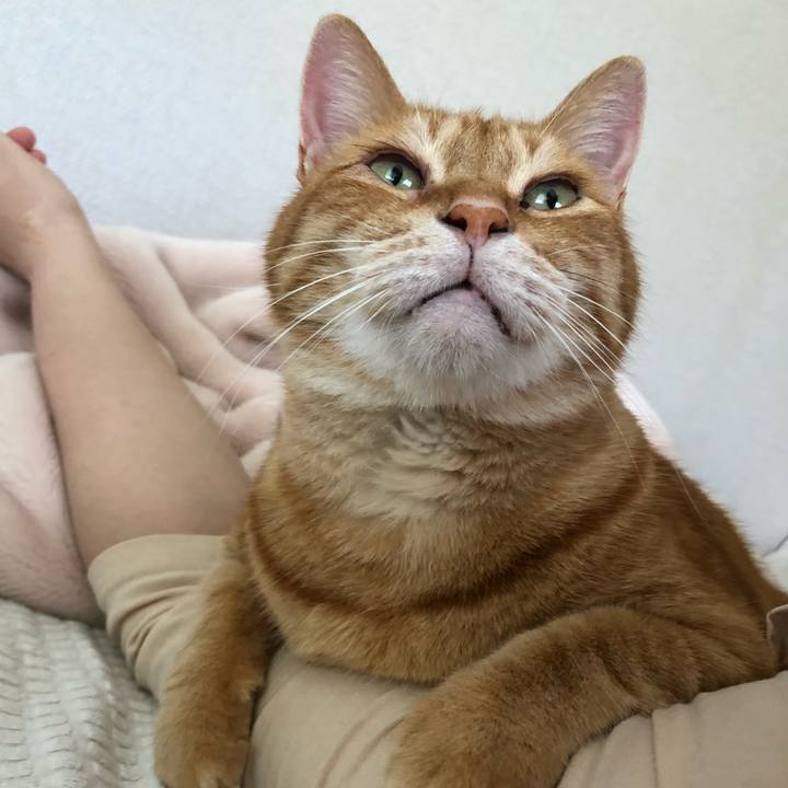 A58dbd2f bd07 415e 99f5 dc7903a211eb 1653199750886