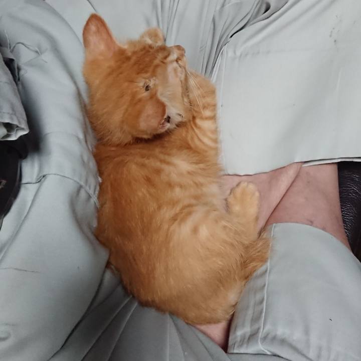 A58ddb7a 6a1f 46bd bf6a 38d766fe50a3 1628384924585