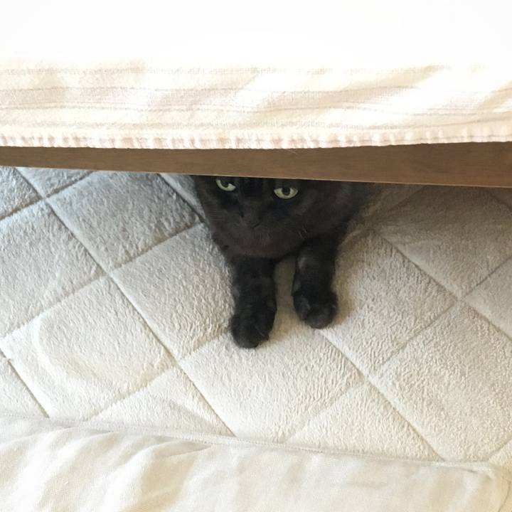 A58dde42 af5d 4236 b3b2 9638d0b3307a 1526869782110