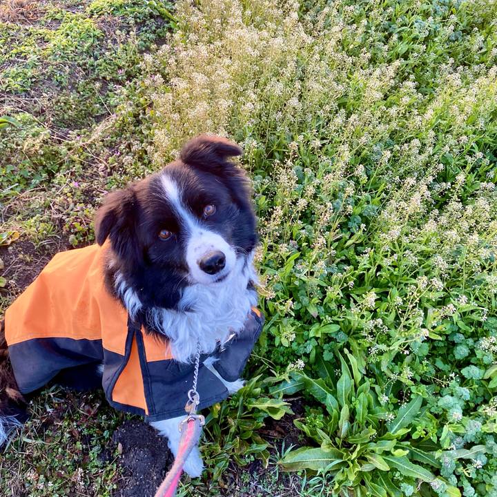 A58de8bd 35c9 426e 902f d544e9cd0bc3 1612568843881