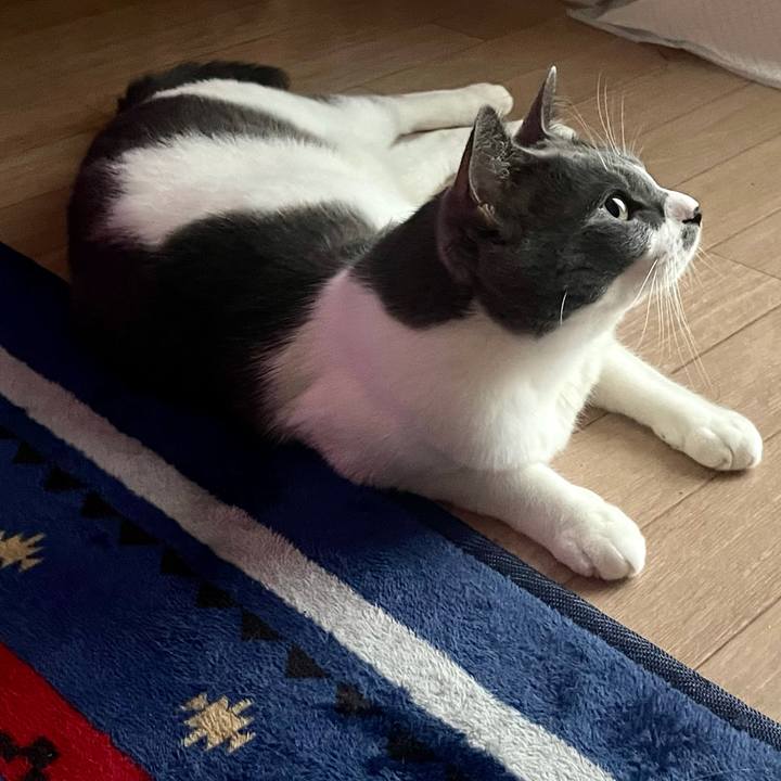 A58e1511 57c4 4ed3 b1fb 62cae5f7ed2d 1630442789393