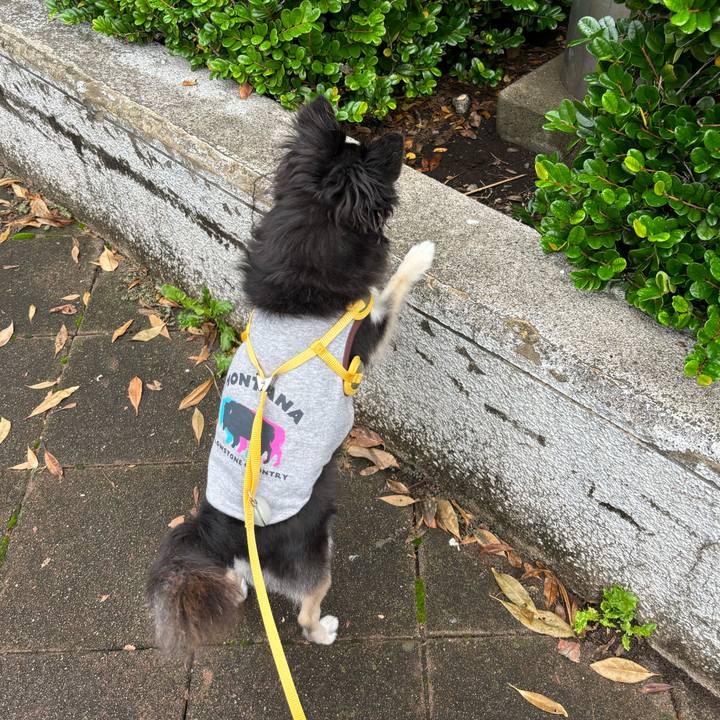 A58e3caf c9a7 47d4 9840 298c2f6c485c 1729354088545