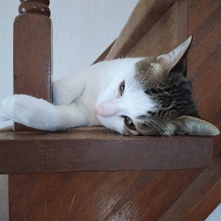 A58e5251 0265 4479 a734 85ac8b54224d 1725015422418