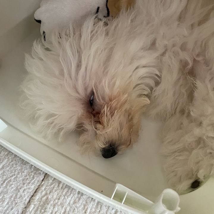 A58e8125 bfff 446a ae84 e794b6eddd85 1746600074491