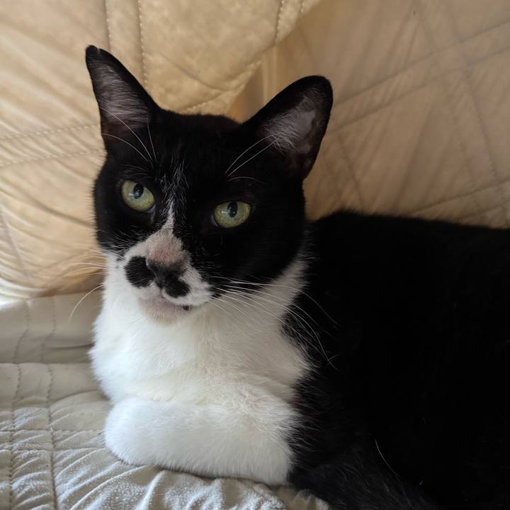 A58ed5e6 2bc4 4ed9 9c03 f16ca0632614 1752976369235