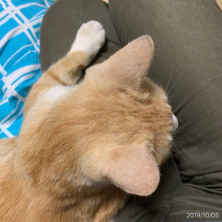 A58f12b7 25c5 42b3 a7cd d4b634ff939f 1570284261481